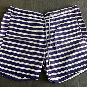 Scotch & Soda Navy and White Striped Men’s Swim Trunks